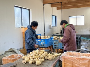 岡田ファーム(茨城県)-4