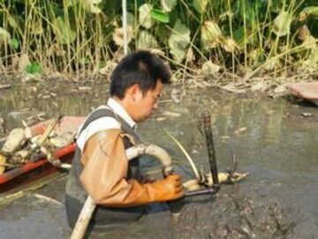 岡田ファーム(茨城県)-2