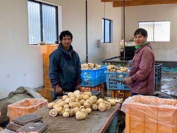 岡田ファーム(茨城県)-5