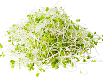 山梨県・福岡県×生産事務/法人【42869】-1