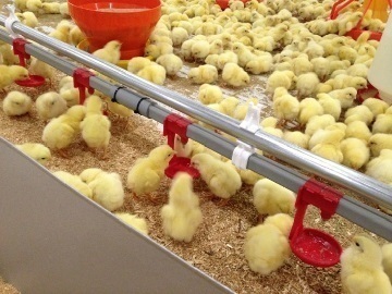 住田フーズ株式会社-3