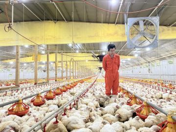 住田フーズ株式会社-4