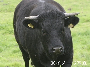 福島県郡山市×肉牛・羊/法人【42873】-top