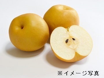 株式会社ファーマインド大分農園【大分県:果樹】-1