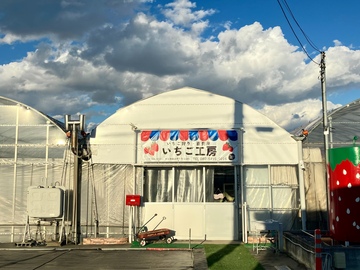 株式会社いちご工房-top