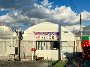 株式会社いちご工房-top