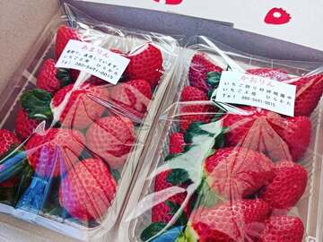 株式会社いちご工房-1