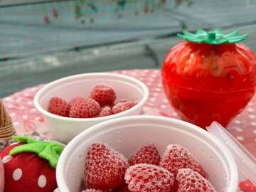 株式会社いちご工房-4