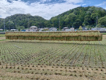 石川ファーム-3