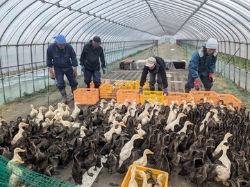 有限会社ファームキトラ-3