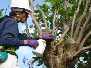 株式会社丸森造園-top