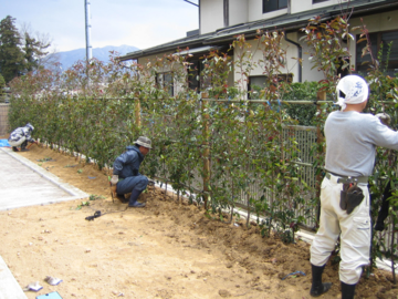 株式会社丸森造園-1