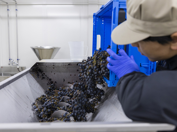 株式会社仲とうや醸造所-2