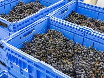 株式会社仲とうや醸造所-5