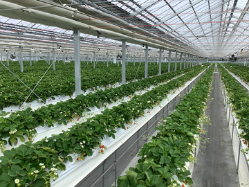 苫東ファーム株式会社-7