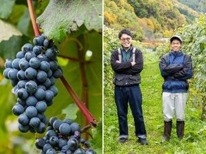 株式会社オーチャード奥洞爺-top