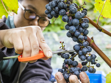 株式会社オーチャード奥洞爺-1