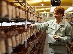 株式会社フォレストファーム女鹿口-top