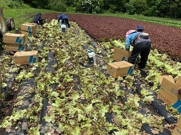 株式会社フォレストファーム女鹿口-3