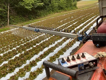 株式会社フォレストファーム女鹿口-4