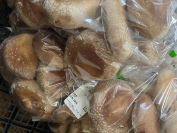 株式会社フォレストファーム女鹿口-6