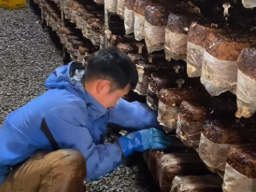 株式会社フォレストファーム女鹿口-7