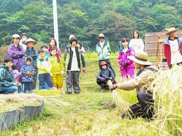 HOLY FUNGUS(株式会社ネオナチュラル)-4