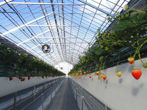 苫東ファーム株式会社-top