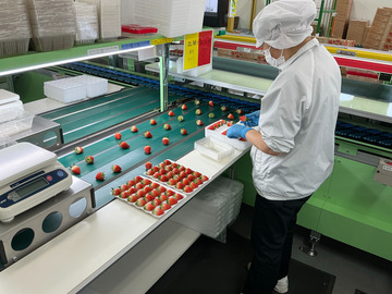 苫東ファーム株式会社-8