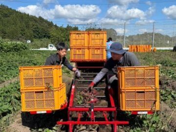 株式会社CREATE AGRI-6