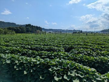 株式会社CREATE AGRI-8