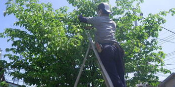 株式会社四季庭