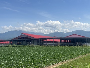 有限会社藤井牧場-8