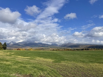 有限会社藤井牧場-1