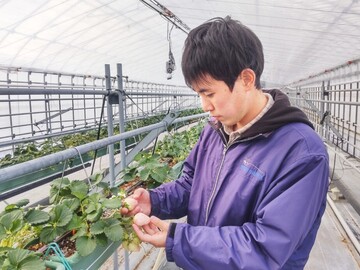 山梨県・長野県×花卉・育苗/法人【42900】-2