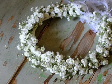 山梨県・長野県×花卉・育苗/法人【42900】-1