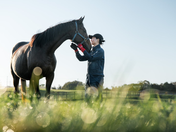 トド岩高原銀河農場物語有限会社【競走馬の生産・飼育管理】-top