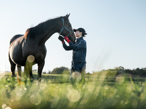 トド岩高原銀河農場物語有限会社【競走馬の生産・飼育管理】-top