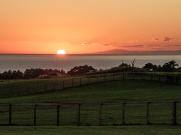 トド岩高原銀河農場物語有限会社【競走馬の生産・飼育管理】-8