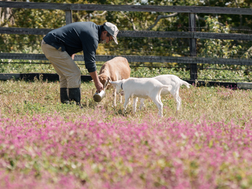 トド岩高原銀河農場物語有限会社【競走馬の生産・飼育管理】-2