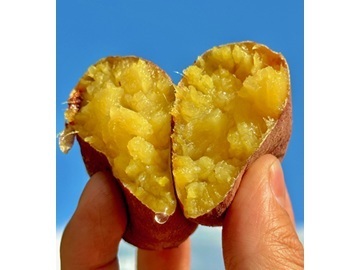 株式会社河合-2