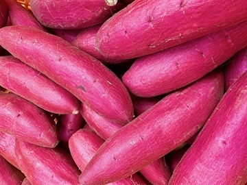 株式会社河合-1