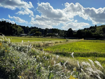 株式会社千葉穀物-1