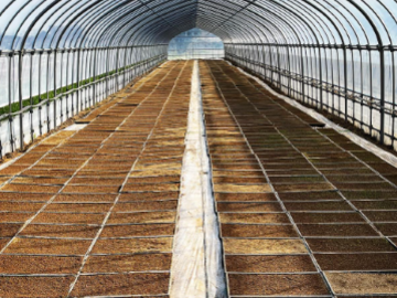 株式会社千葉穀物-2