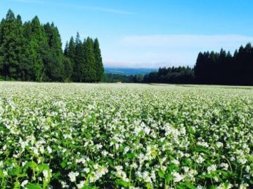 株式会社のうランド-3