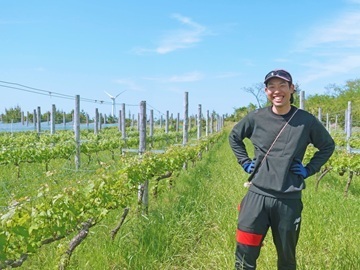 鳥取県北栄町　地域おこし協力隊募集【ワイナリーでブドウ栽培】-1