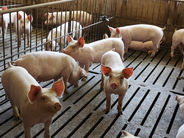 北辰商事株式会社【熊本】-6