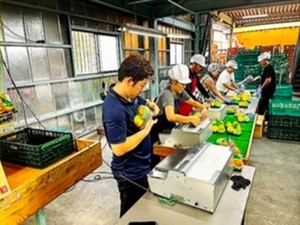 ナカヤ株式会社-top