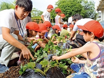 ハイナン農業協同組合(JAハイナン)-5