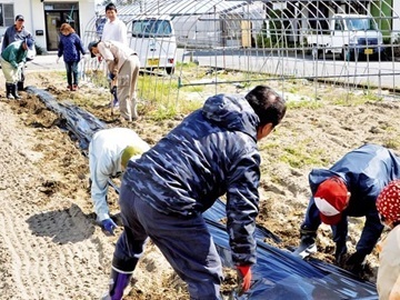 ハイナン農業協同組合(JAハイナン)-4